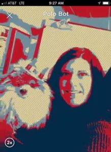 Person and stuffed dog using the America filter on the Marco Polo app