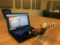 elf in front of a laptop