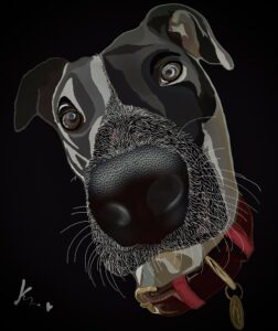 a bold drawing, white pencil on a black background, of the face of a black-and-white dog with short, floppy ears and a prominent textured nose. reds and golds in the dog's color add color at the bottom of the image