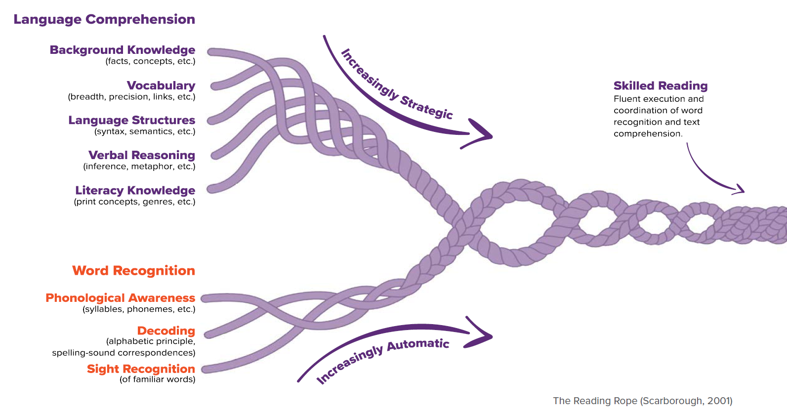 Graphical representation of Scarborough's Reading Rope